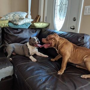 Meet your Posher, Daniel